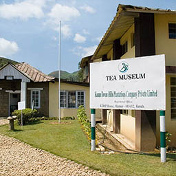 Tea Museum