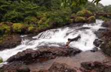 Thoseghar Wasserfall 