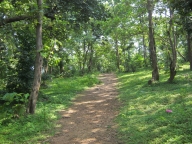 el santuario de vida silvestre jambughoda