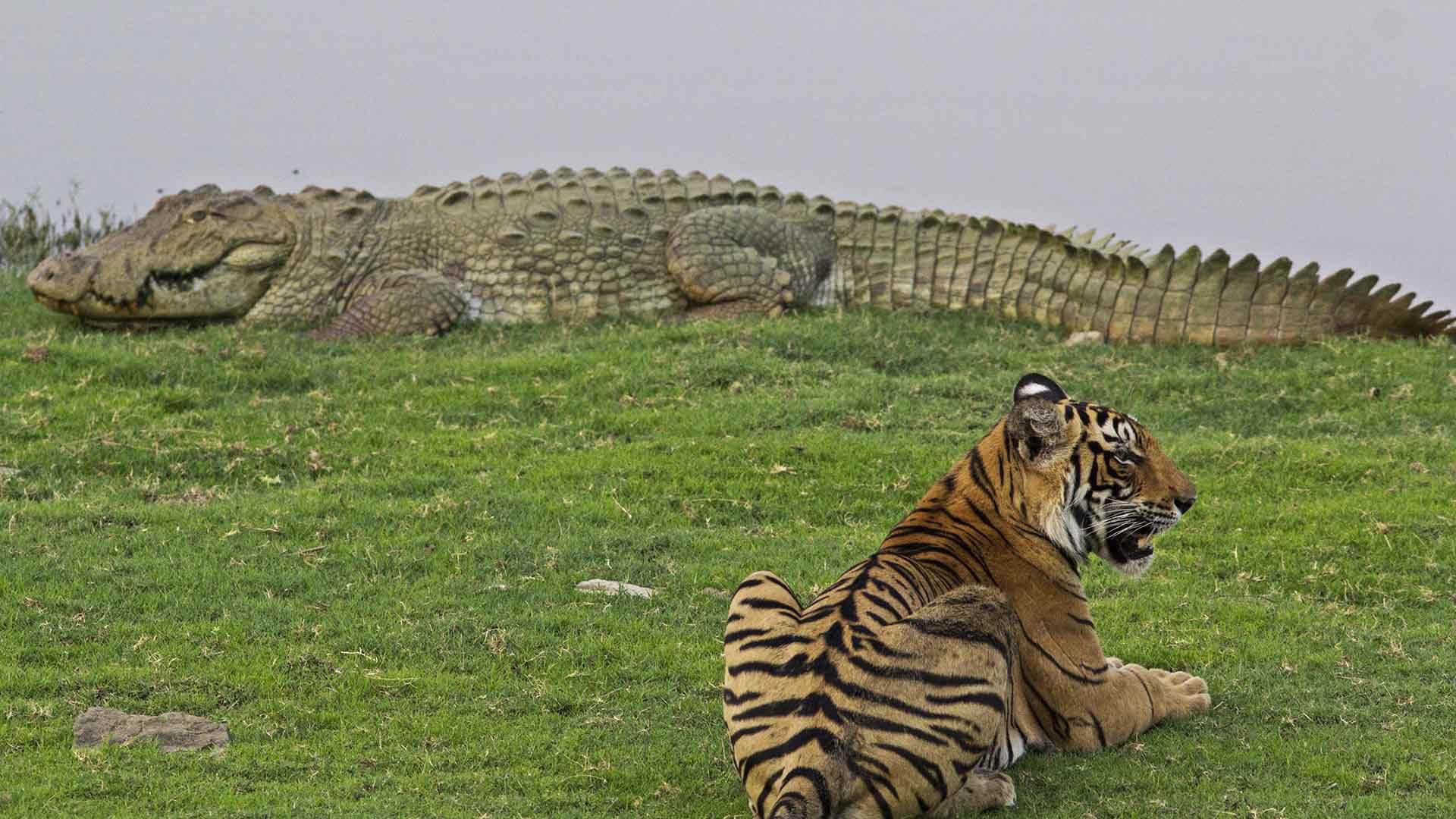 Panna National Park