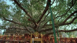 Bodh Gaya