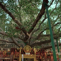 Bodh Gaya