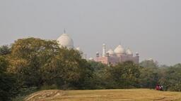 Taj Nature Walk