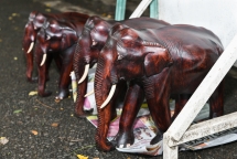 Carvings in Wood