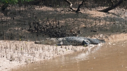 Bhitarkanika National Park