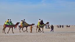 Rann Utsav 