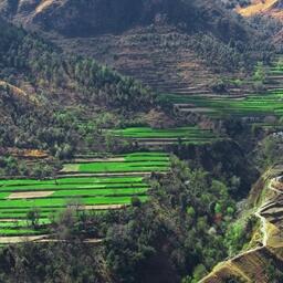 Chakrata 