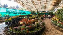 Flower Exhibition Centre and White Memorial Hall