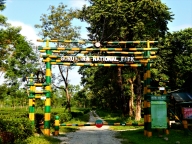 Gorumara National Park