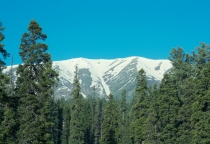 Réserve de biosphère de Gulmarg 