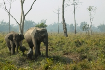 Orange National Park