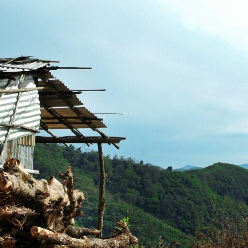 Manipur Nagaland Assam II