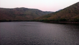 Willingdon Dam