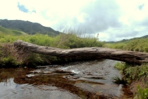 Japfu Peak