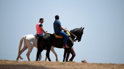 Équitation