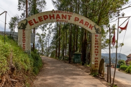 Parc aux éléphants de Carmelagiri 