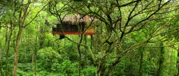 experiencia en una casa del árbol