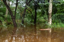 Bir Bhunerheri Wildlife Sanctuary