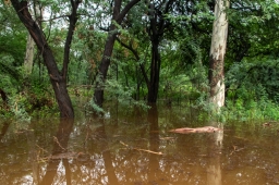 Réserve Naturelle de Bir Bhunerheri 