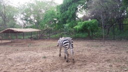 Parc biologique Sanjay Gandhi 