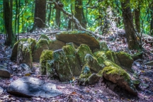 La Forêt Sacrée de Mawphlang 