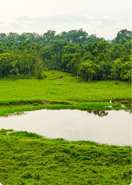 CHAPRAMARI WILDLIFE