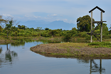 Chilapata Forest