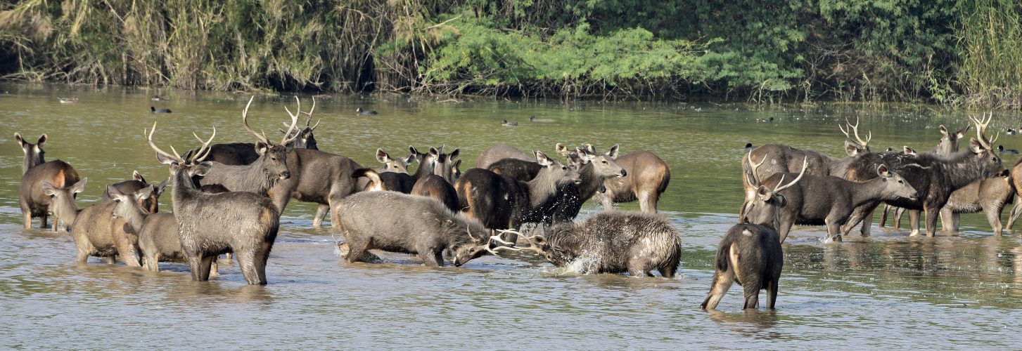 Maenam Wildlife Sanctuary