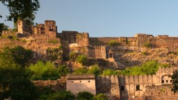 fuerte ranthambore