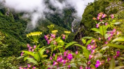 Valley of Flowers and Nanda Devi National Park