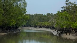 Sundarbans National Park