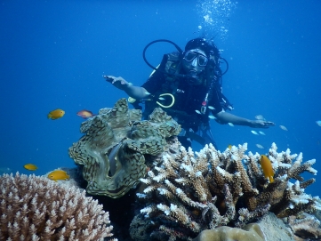 Scuba diving in Dwarka