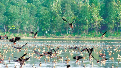 Sepahijala Wildlife Sanctuary 