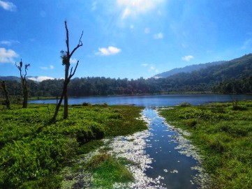 palak dil (lago)