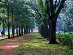 Cubbon Park 