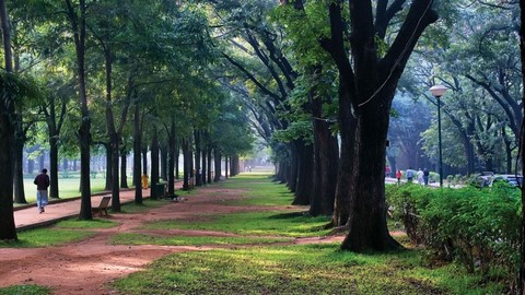 Cubbon Park