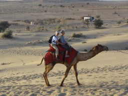 Safaris à dos de dromadaire 