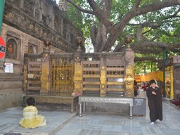 Vajrasana 