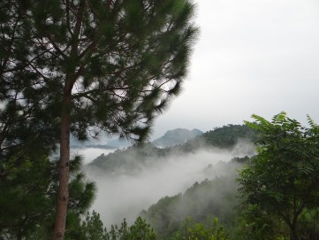 Chail Wildschutzgebiet 