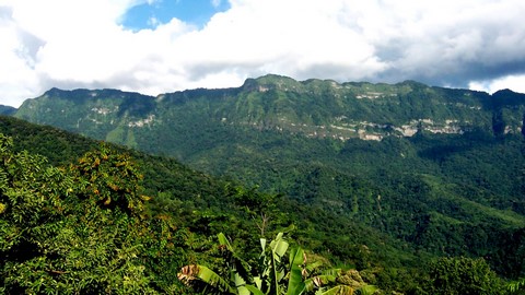 レンテン野生生物保護区