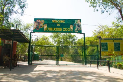 Chattbir Zoo