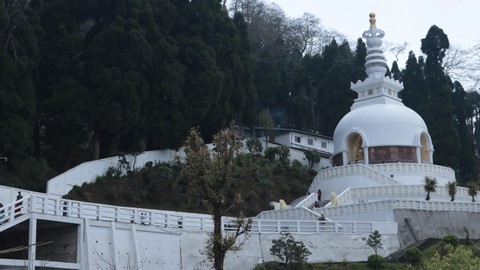 templo japonés y pagoda de la paz