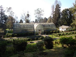 Lloyd Botanischer Garten 