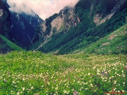 Valley of Flowers