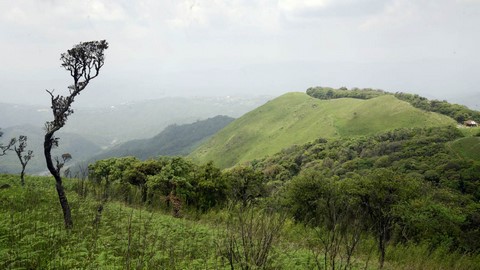 सिरोई राष्ट्रीय उद्यान 