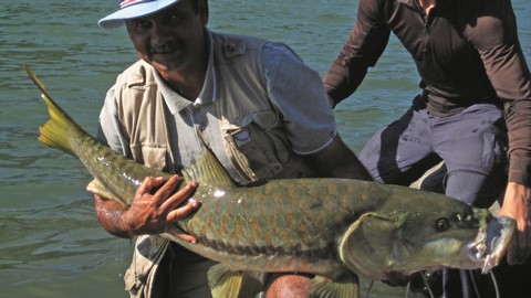 pesca con caña y pesca