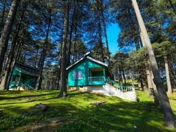 Patnitop