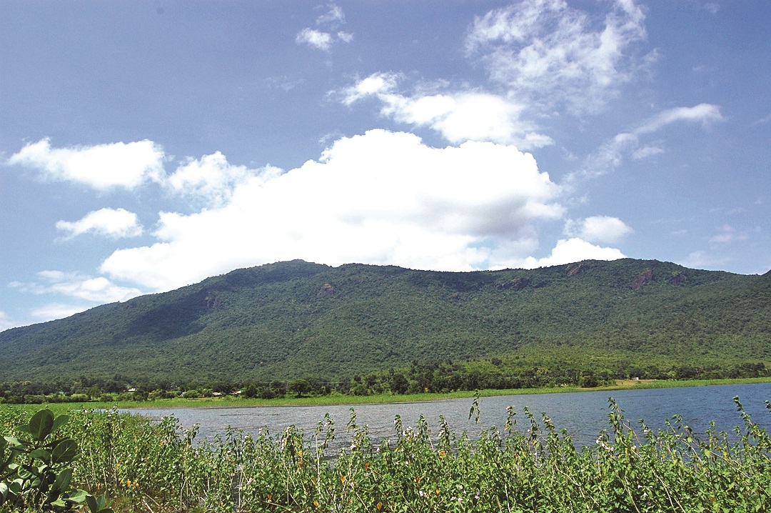 Dalma Hills