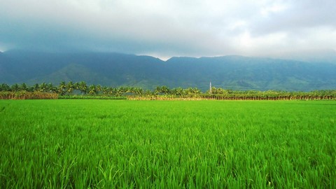 nagercoil