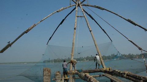 Chinese Fishing Nets